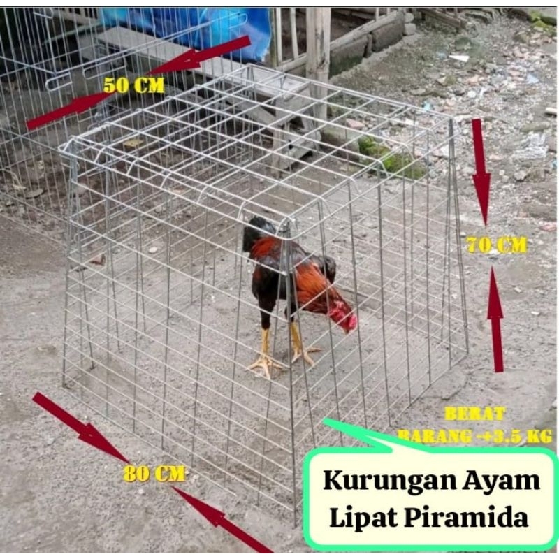 Kurungan Ayam Lipat Piramida Bahan Galvanis