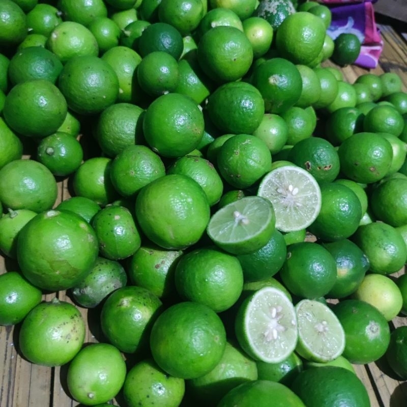 

JERUK NIPIS FRESH 1 KG HARGA GROSIR