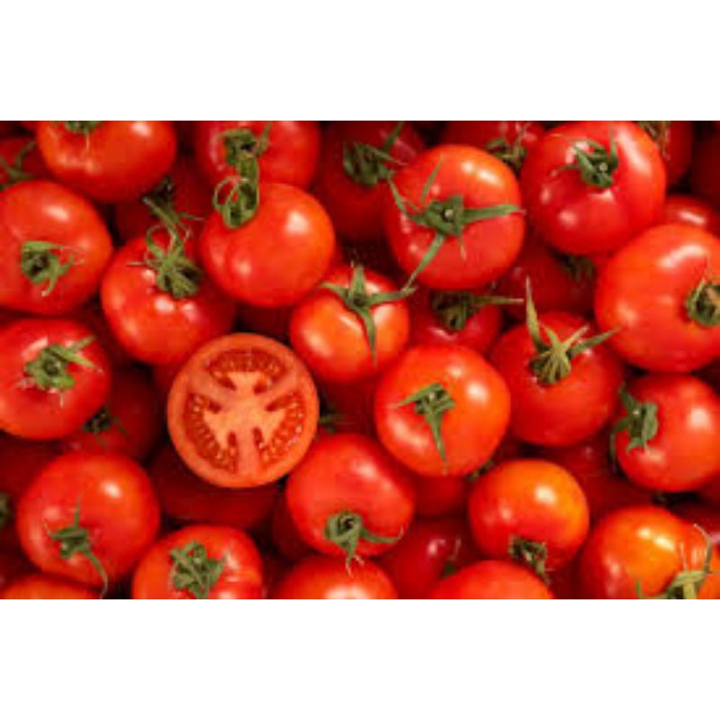

Tomat fresh 500g