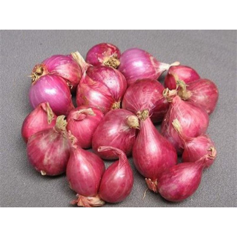 

TERMURAH!1 BAWANG MERAH SUPER//HARGA TERJANGKAU