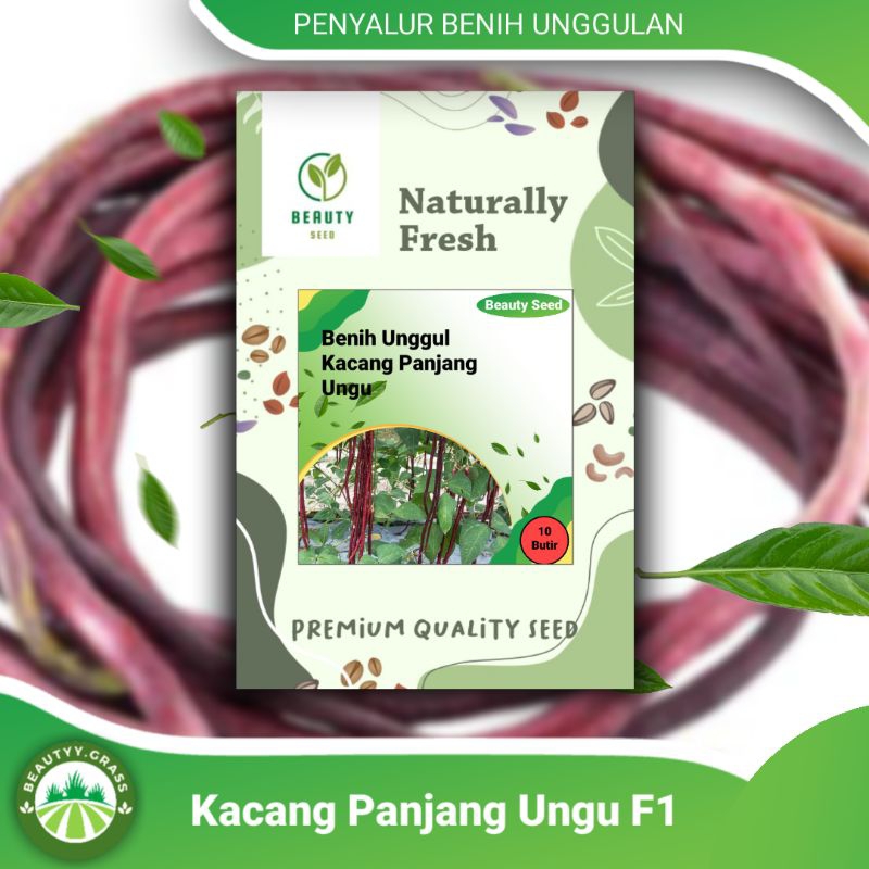 10 Butir Benih Biji Kacang Panjang Ungu - Benih Kacang Panjang Merah Ungu Bush Yard Long Beans