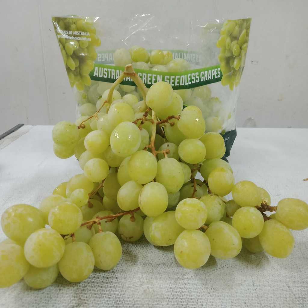 

ANGGUR HIJAU TANPA BIJI / SEEDLESS GREEN GRAPES