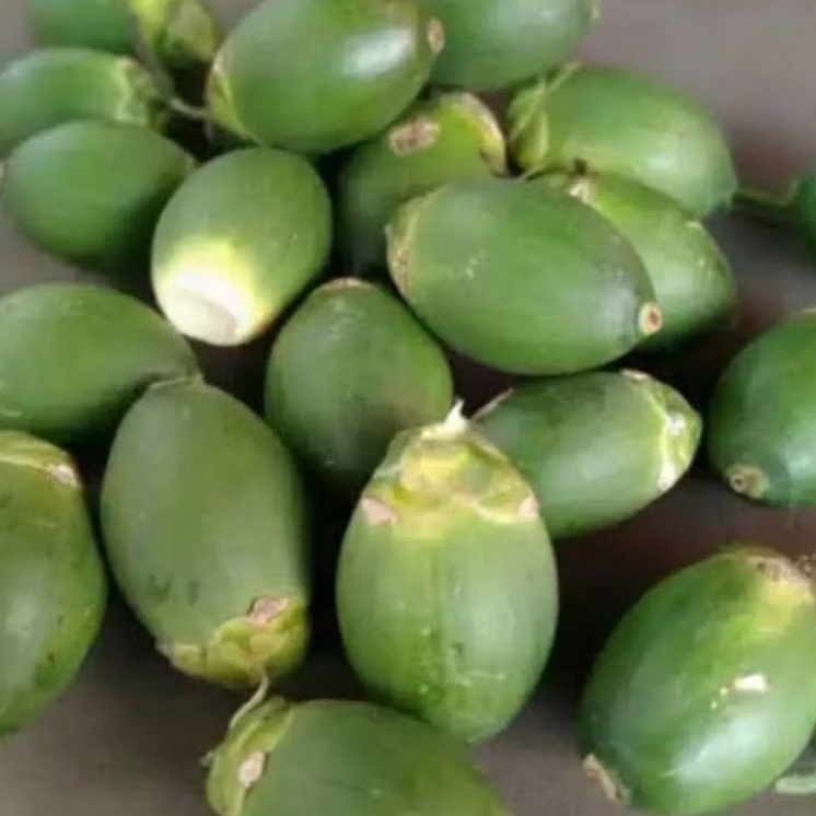 

Buah Pinang Segar 1kg Buah Jambe Segar