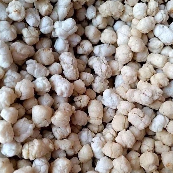 

Pilus Tiktak Cikur Gurih Renyah 500gr / Tictak Original