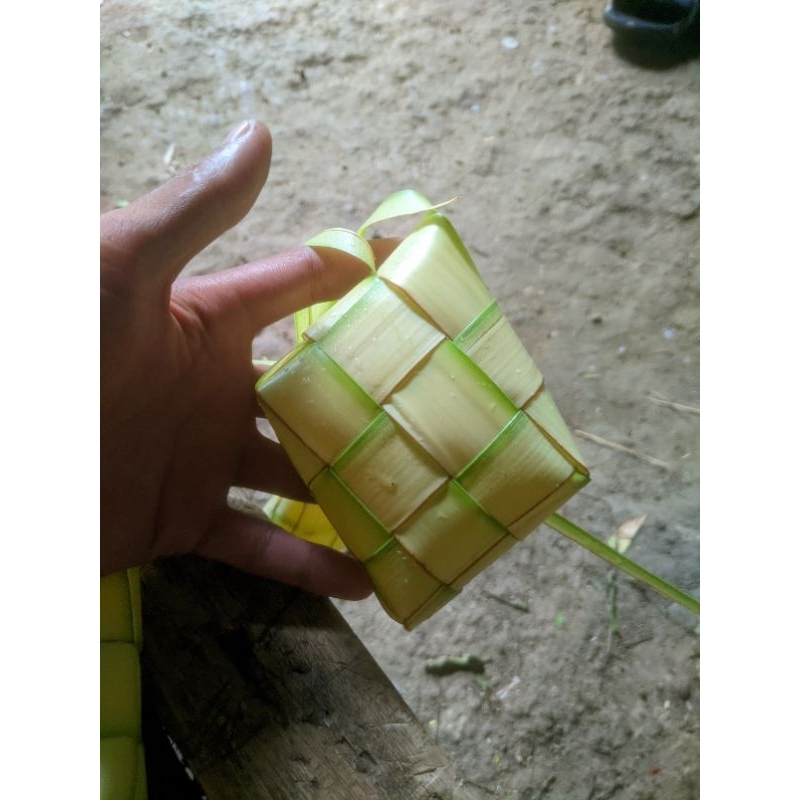 

Cangkang Ketupat Kosong Asli Daun Kelapa Muda (Janur)