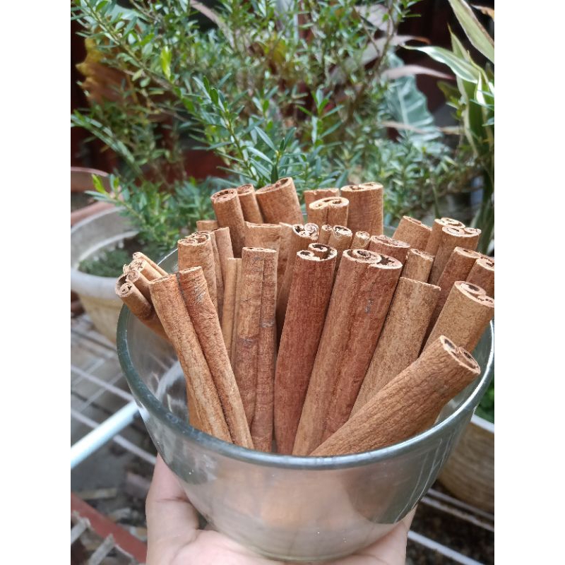 

kayu manis stick 100gr asli Solok Sum-Bar