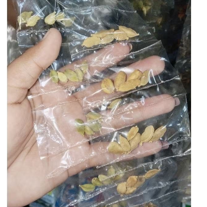 

Kapulaga ( Rempah masak ) 1 renteng isi 10bks