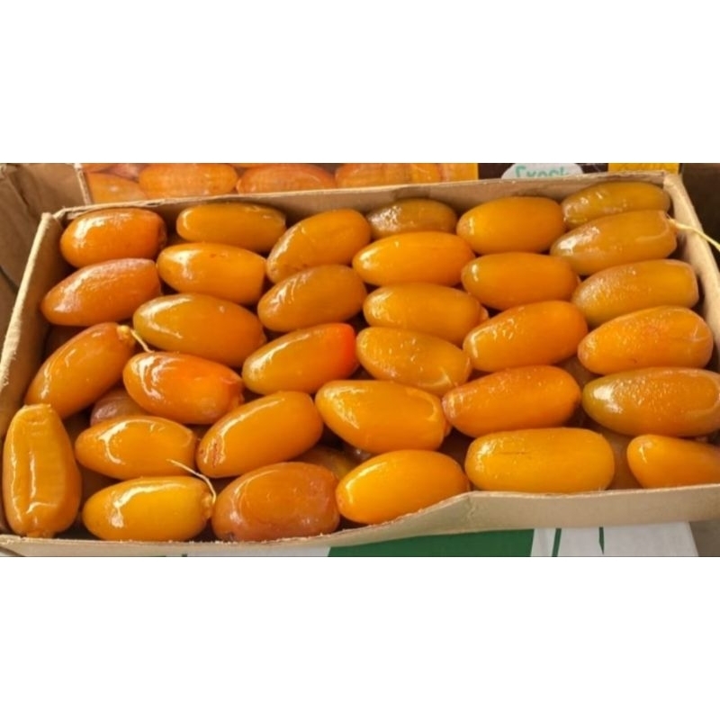 

rhutob kurma muda 1 kg