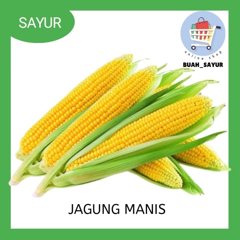 

Jagung manis 1pack isi 2