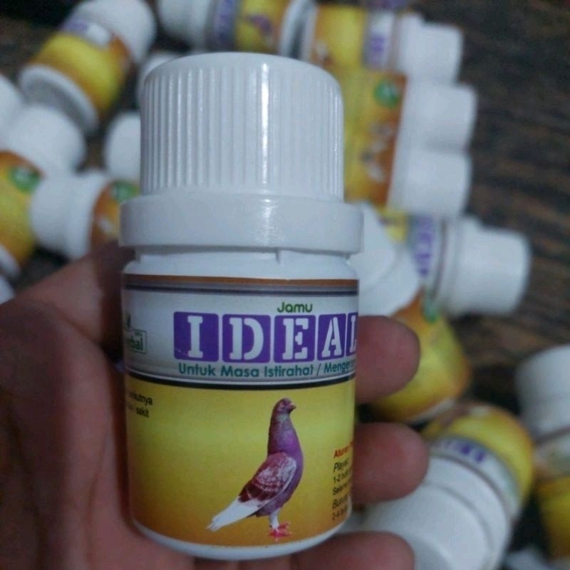 ideal baron jamu merpati baron ideal baron km Jamu Khusus Burung Merpati Masa Angkrem Mengeram Burun