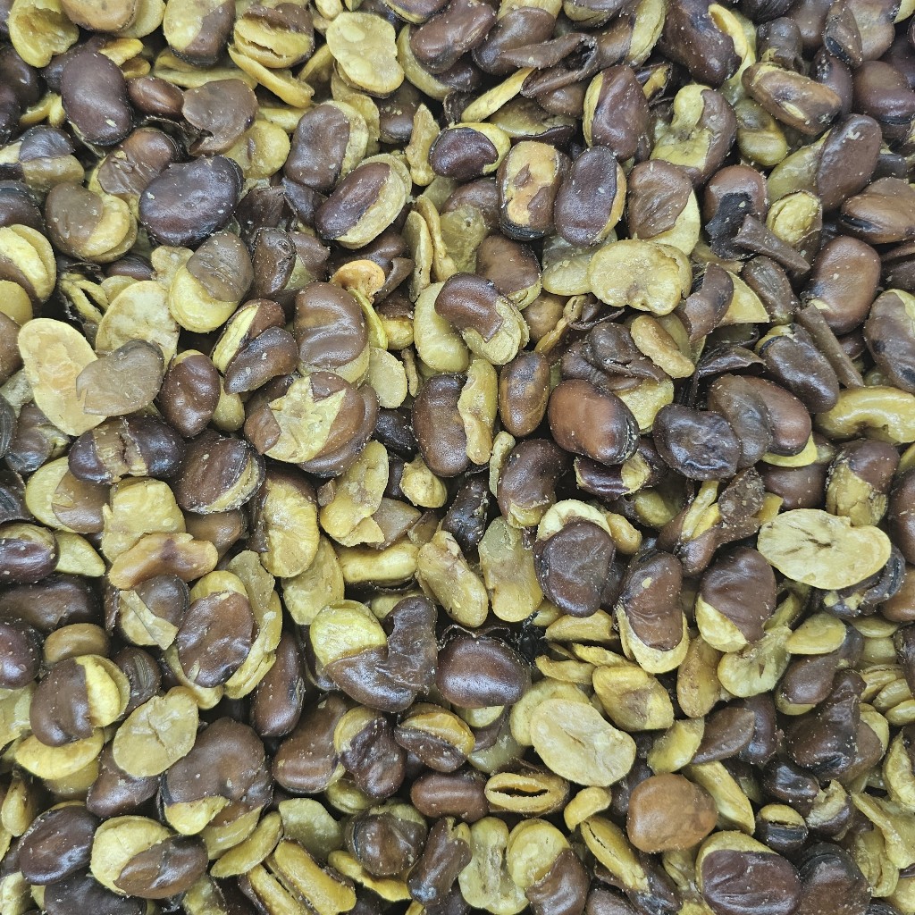 

KACANG KORO