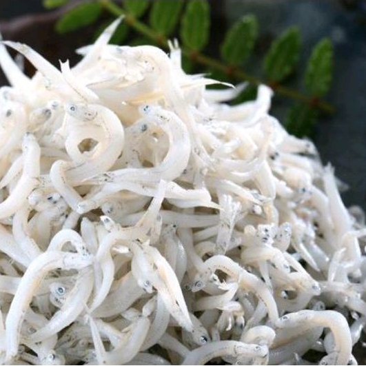 

Teri Medan kering kualitas 1
