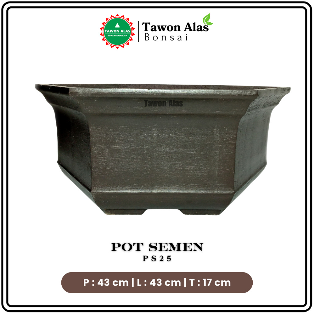Pot Bonsai Semen Segi Enam