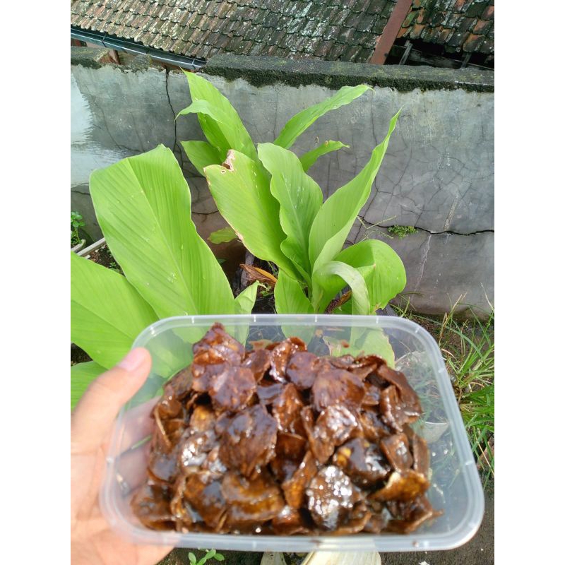 

BANANA COKLAT LUMER/ PISANG COKLAT LUMER