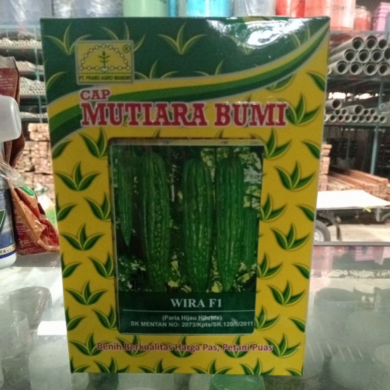 

pare mutiara bumi