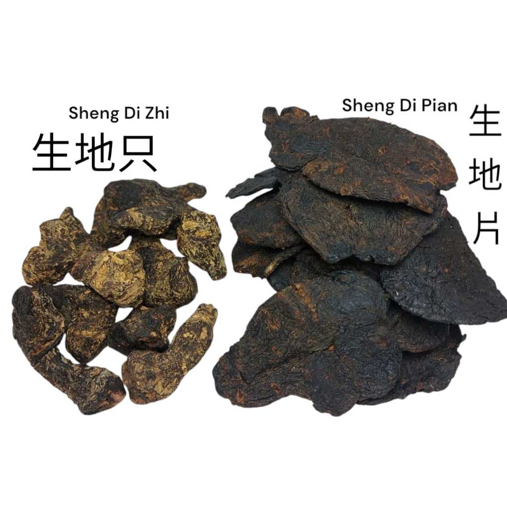 

Sheng Di Huang / Shengdi / Sendi / Senti Radix Rehmanniae Glutinosae