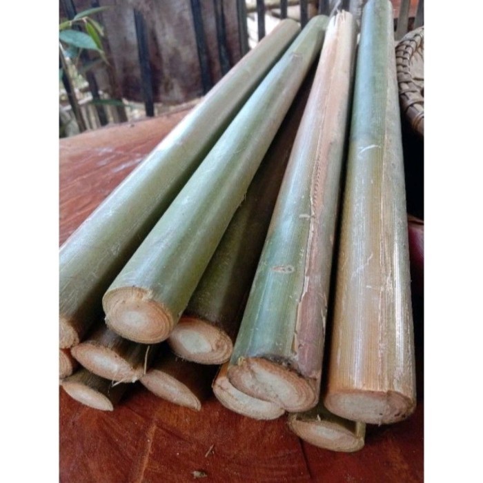 

Jual Batang honje atau kecombrang segar 1 kg