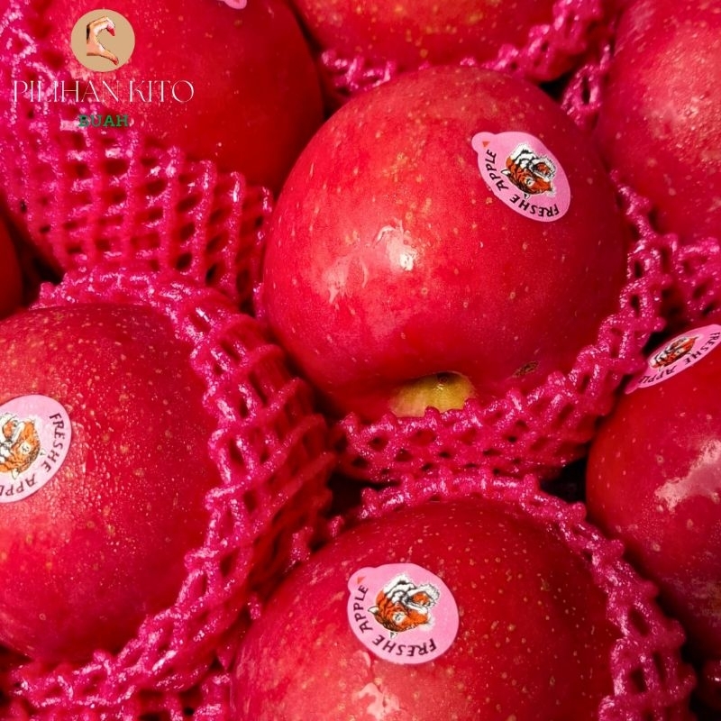 

apel fuji blush premium