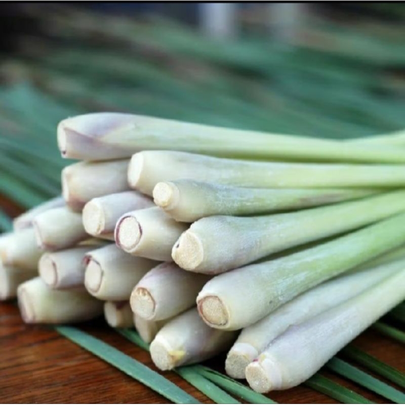 

Sereh Serai Fresh Segar Bersih Sudah di Cuci 1Kg