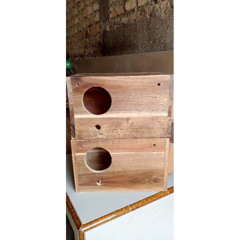 glodok burung Nuri sunconour Betet dan paruh bengkok lainnya