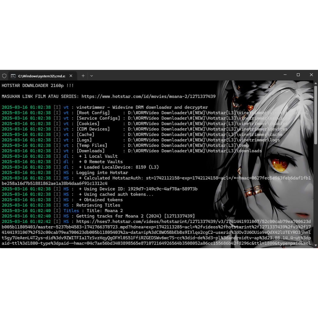 Streaming Service Downloader