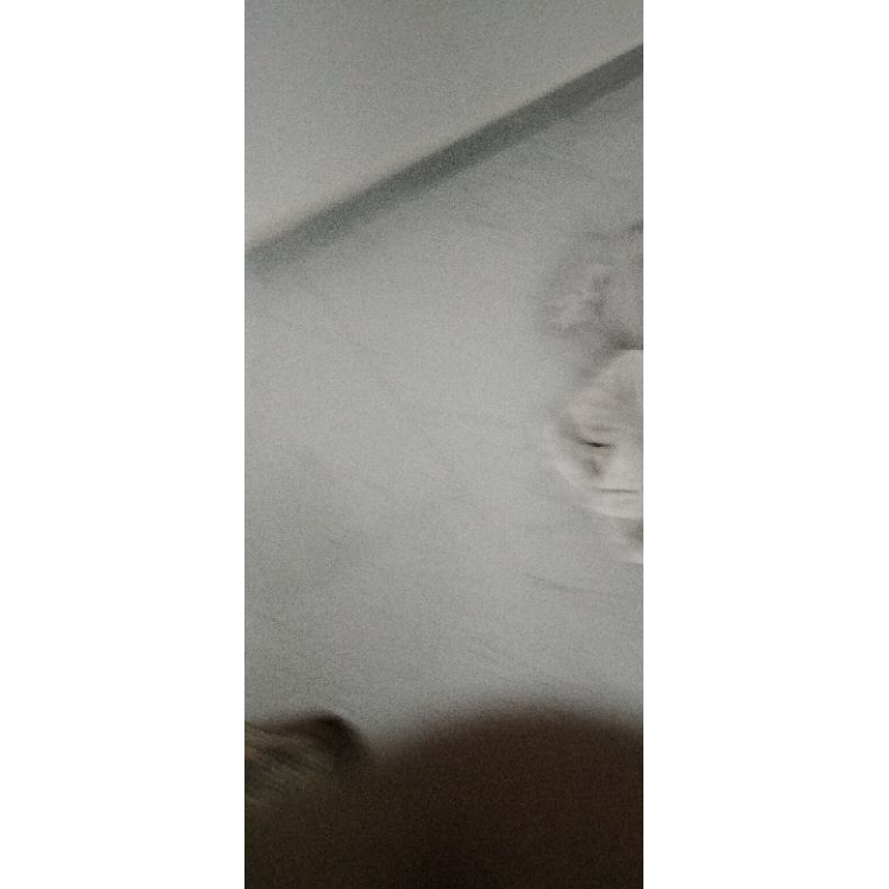 

nana+ S hiaju
