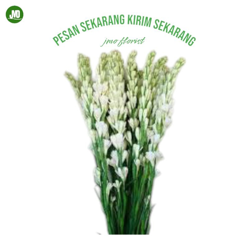 Bunga sedap malam bunga segar