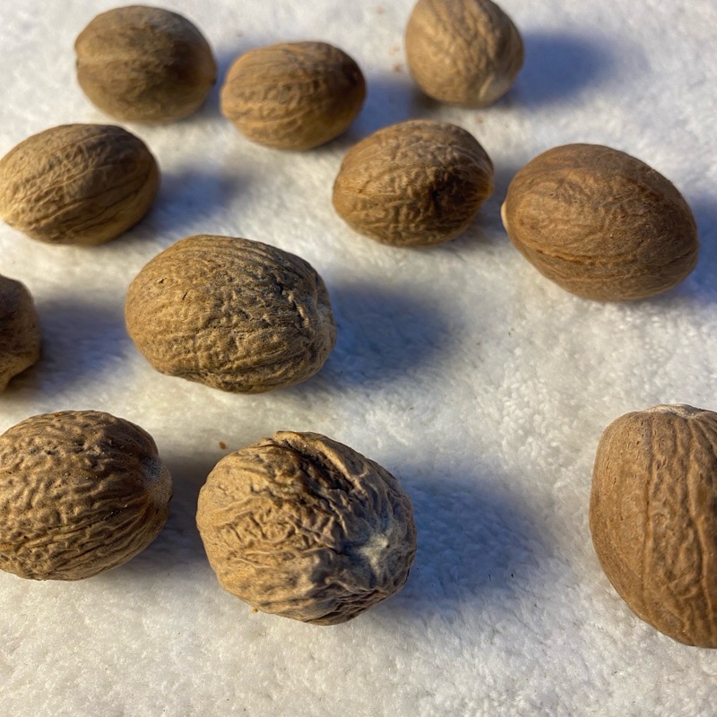 

HG Biji Pala Utuh 1kg / Biji Pala Bulat / Biji Pala Kupas / Biji Pala / Nutmeg Seed