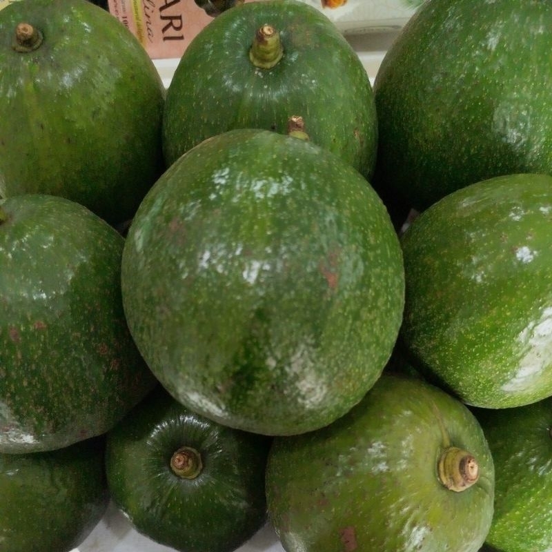

Alpukat markus Grade A 800g-900g