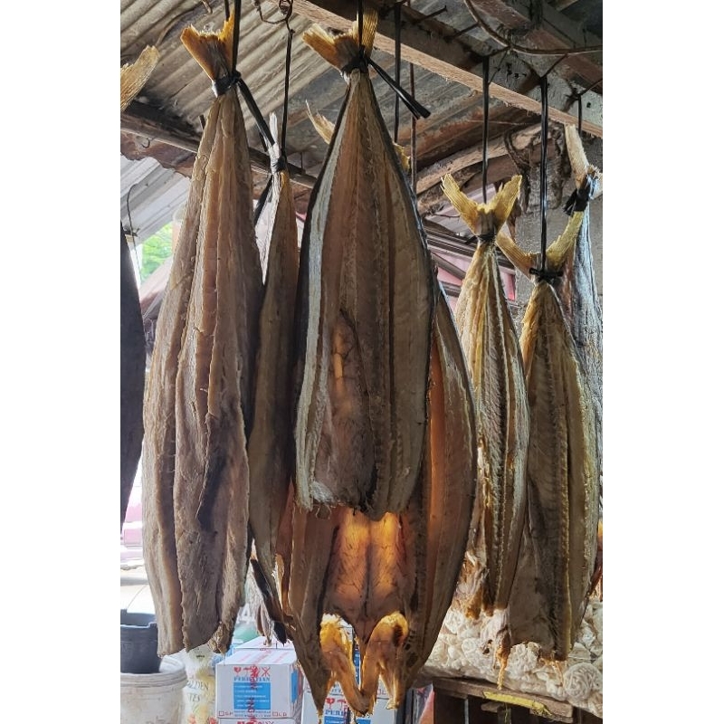 

Ikan asin Tenggiri Premium 100gr