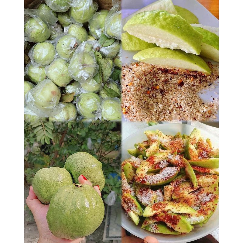 

Juragan Buah Jambu Kristal (1 Kg)