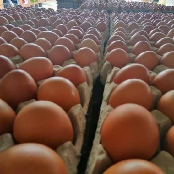 

RB Telur Ayam Negeri 1kg Premium
