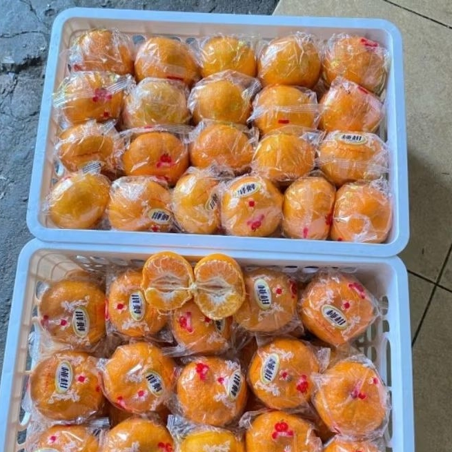 

PROMO LEBARAN Jeruk Honey Ponkam [ 1 Krat ±9kg ] Keranjang IgnacioBox Fresh Import