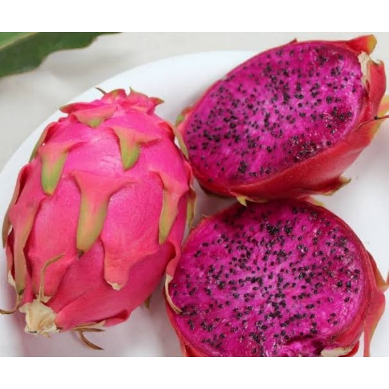 

BUAH NAGA BESAR ISI 2 PER 1 KILO