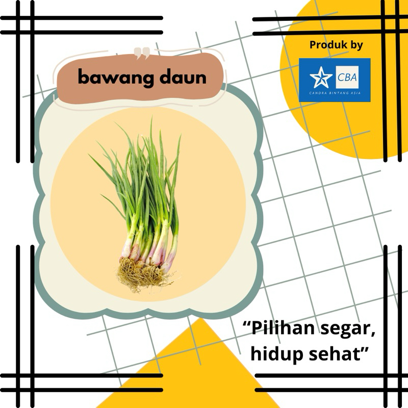 

Bawang Daun Segar Fresh, Wangi, & Siap Kirim Instan!