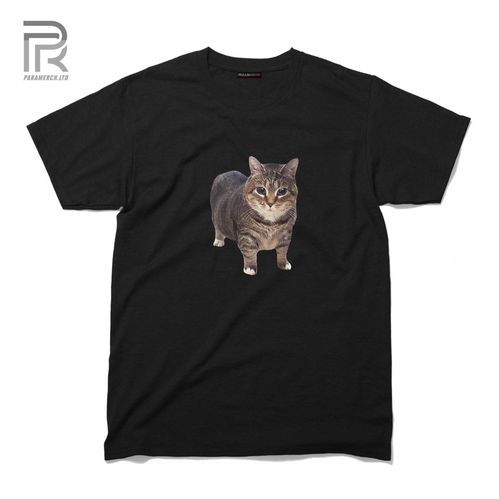 Paramerch Tshirts Kaos Meme Kucing Akmal Katun Cotton Combed 24s Aesthetic Streetwear Unisex Kata-ka
