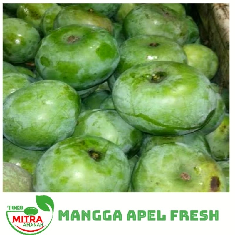 

MANGGA MUDA APEL FRESH 800 Gr