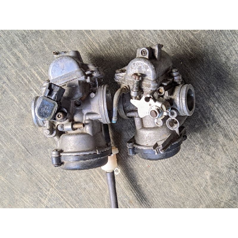 karbu byson ori copotan