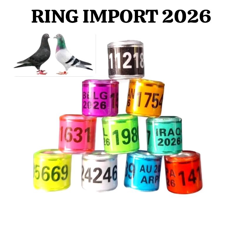 Ring import merpati 2026/ring burung merpati