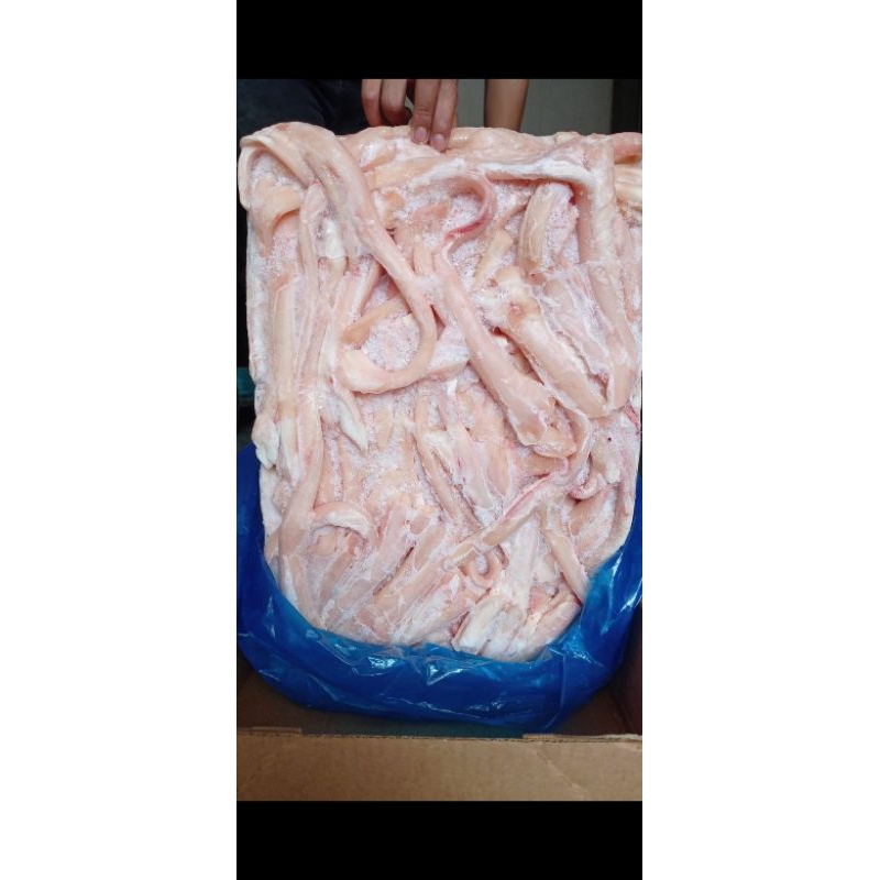 

Urat Tendon Sapi, cocok untuk buat sop urat keting