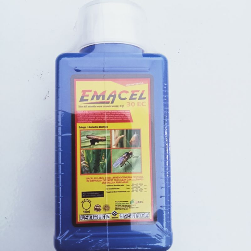 Emacel