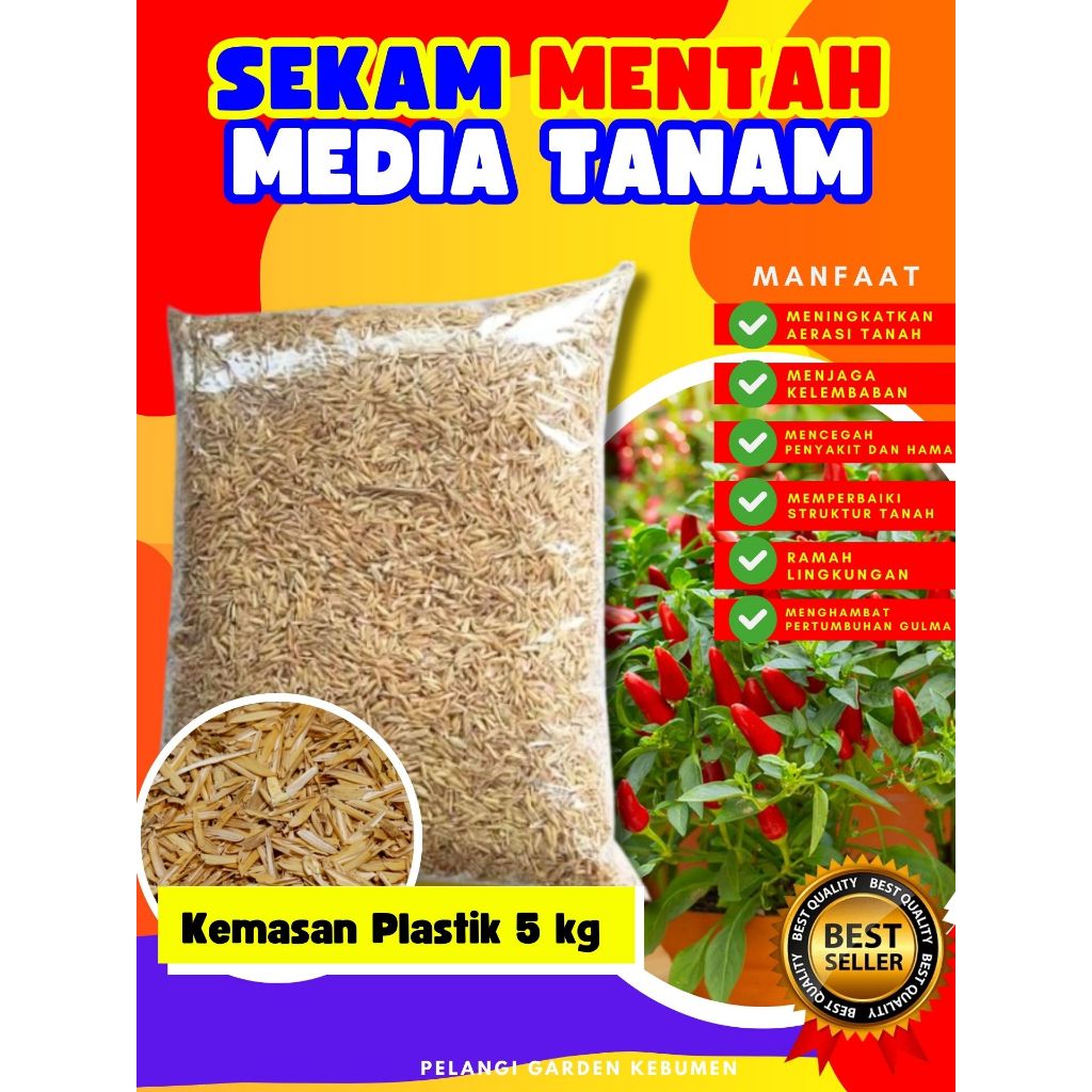 TERLARIS  Sekam Mentah Untuk Media Tanam Cabai
