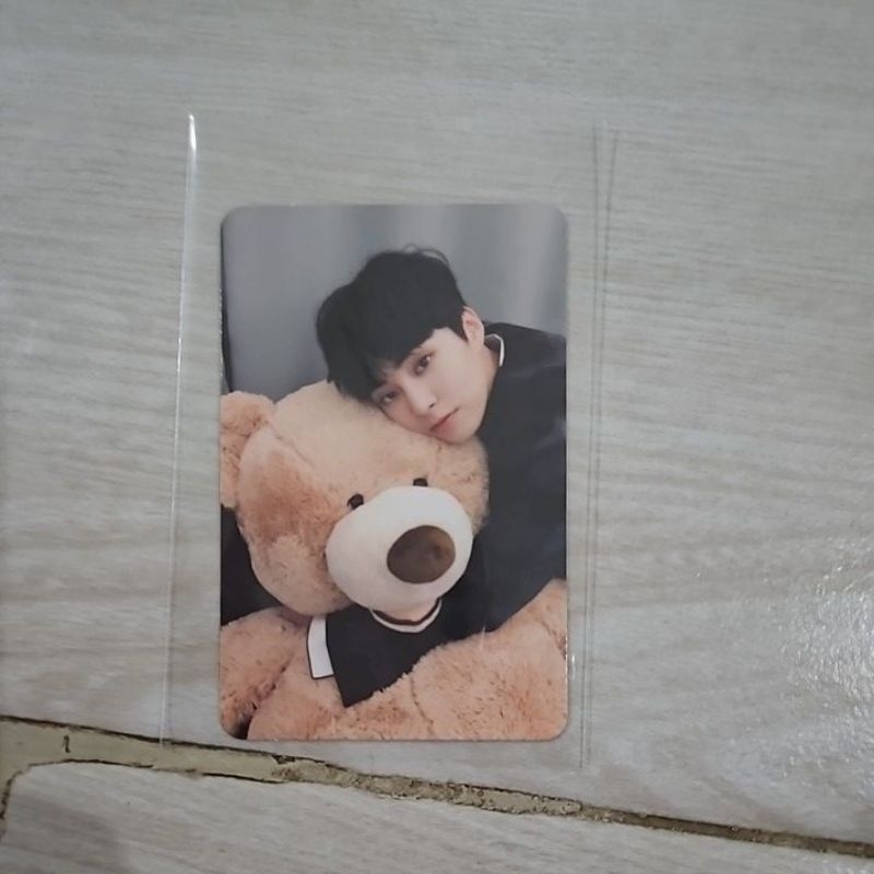 exo xiumin minseok universe teddy bear doll pc photocard official