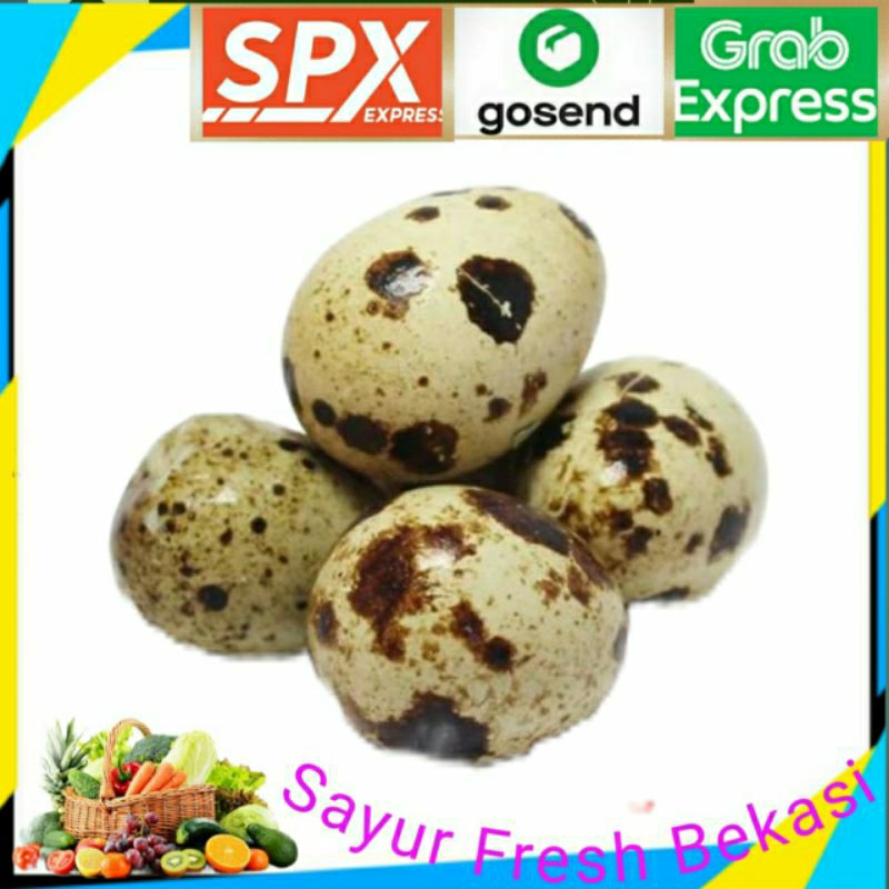 

Telur/Telor Puyuh Mentah isi 25 (1pack).