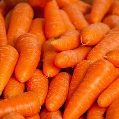 

WORTEL BAL 10 KG | WORTEL SEGAR MURAH