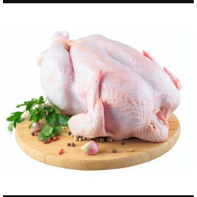 

AYAM KARKAS UTUH 2_3Kg