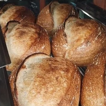 

Prasca Bakehouese | Rustic Sourdough | Whole Wheat Sourdough | Soaked Oatmeal With Butter Sourdough
