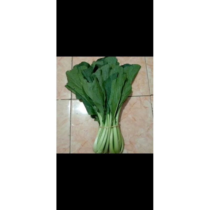 

sawii