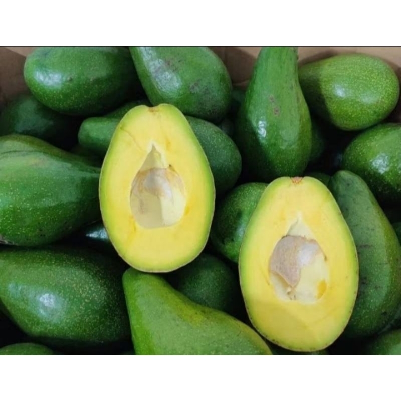 

alpukat ment3ga Rp 23.000 1kg isi 4 - 5 pcs