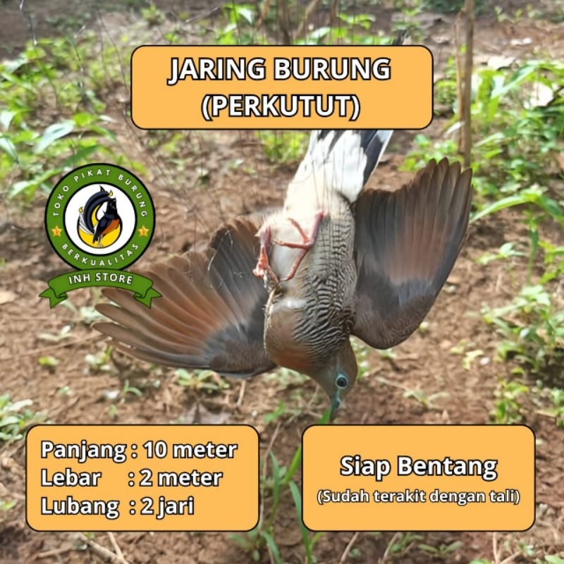 JARING BURUNG PERKUTUT JARING BURUNG KUTUT JARING BURUNG KUTUT JARING BURUNG BESAR JARING BURUNG 2 I